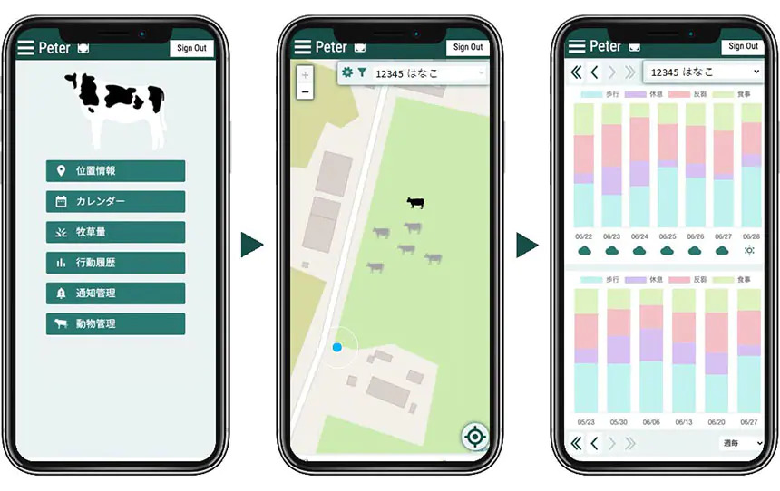放牧牛を担保とする動産担保融資におけるAIモニタリングシステム「PETER」の有効性検証を開始