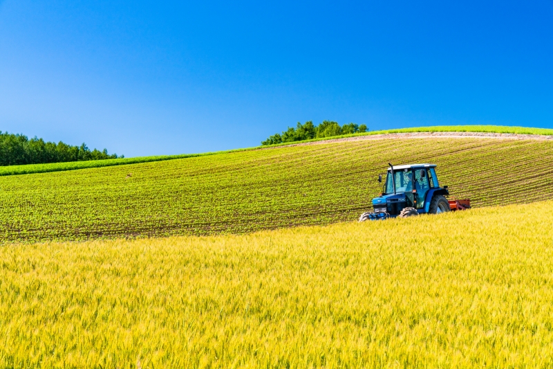 ビッグデータを企業が活用するメリット