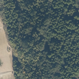 Generative AIで生成した画像その2