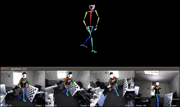 OpenPoseの活用ケース